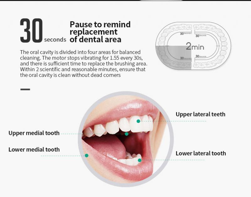 Πλήρως Αυτόματη Επαναφορτιζόμενη Οδοντόβουρτσα Irrigator Με Μαλακές Τρίχες Ηλεκτρική Υπερήχων Γενικής Χρήσης