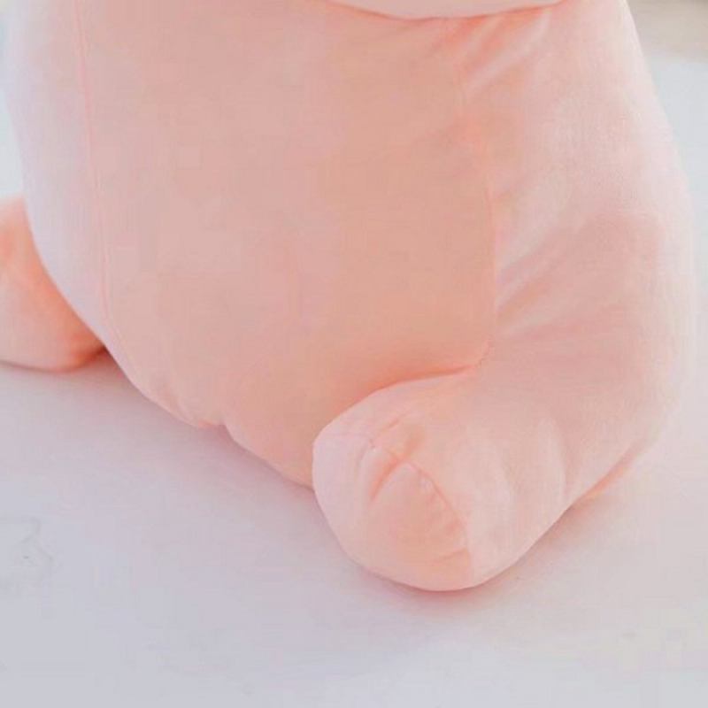 Creative Dingding Throw Pillow Kawaii Healing Βελούδινα Παιχνίδια Κούκλες Fun Joke Φεστιβάλ Δώρο 4 Μεγεθών