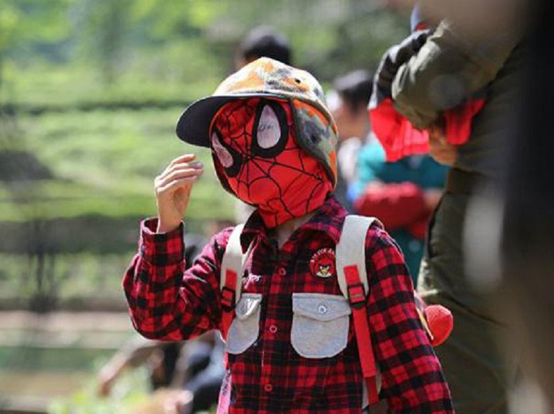 Αξεσουάρ Απόδοσης Φιλμ Super Hero Spiderman Simply Equipped Mask