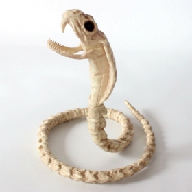Skeleton Cobra Snake Bone Haunted House Διακόσμηση Εύκαμπτο Σώμα