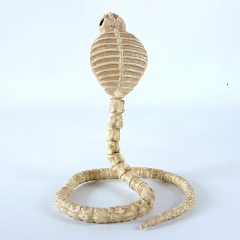 Skeleton Cobra Snake Bone Haunted House Διακόσμηση Εύκαμπτο Σώμα