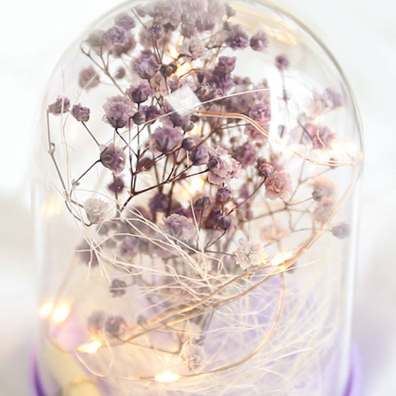 Dry Gypsophila Conserved Fresh Flower Με Ακρυλικό Περίβλημα Ως Στολίδι Δώρου Για Την Ημέρα Του Αγίου Βαλεντίνου