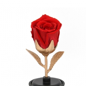Eternal Flowers Silk Rose Περιστρεφόμενο Μουσικό Κουτί Με Ποτήρι Για Τη Σύζυγο Εραστή Φίλη Δώρο Γενεθλίων Για Την Επέτειο Γάμου