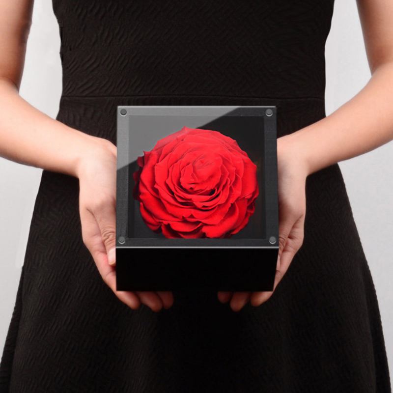 Eternal Rose With Gift Box Forever Blossom Flower For Love Ones Τεχνητό Δώρο Life For Mom Lover Girlfriend