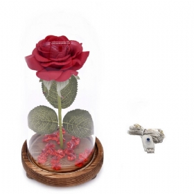 Φωτιστικό Κόκκινο Τριαντάφυλλο Με Φώτα Led Fairy String Πεσμένα Πέταλα Και Βάση Abs Σε Γυάλινο Θόλο Για Την Ημέρα Του Αγίου Βαλεντίνου Το Καλύτερο Δώρο Για Εκείνη
