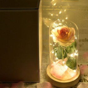 Φωτιστικό Με Τριαντάφυλλα Σαμπάνιας Με Ρομαντικά Δώρα Για Την Ημέρα Του Αγίου Βαλεντίνου Με Φώτα Led Fairy String Πεσμένα Πέταλα Και Βάση Abs Σε Γυάλινο Θόλο