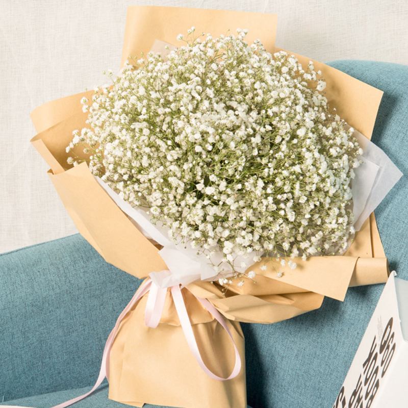 Τεχνητό Babysbreath Flower Γαμήλιο Πάρτι Διακόσμηση Σπιτιού Μπουκέτο Αναπνοής Μωρού Αποξηραμένα Λουλούδια Για Δώρο Για Την Ημέρα Του Αγίου Βαλεντίνου