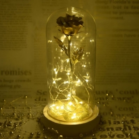 Χρυσά Τριαντάφυλλα Φωτιστικό Με Fairy String Lights Πεσμένα Πέταλα Και Βάση Abs Σε Δώρα Αγίου Βαλεντίνου Σε Γυάλινο Θόλο