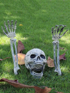 1 Pc Halloween Haunted Skull House Realistic Bones Set Head And Hands Graveyard Scene Cosplay Diy Horror Party Decorations