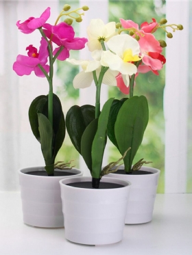 3led Solar Powered Phalaenopsis Flower Stake Κήπος Αυλή Φως Τοπίο Διακόσμηση Εξωτερικού Χώρου