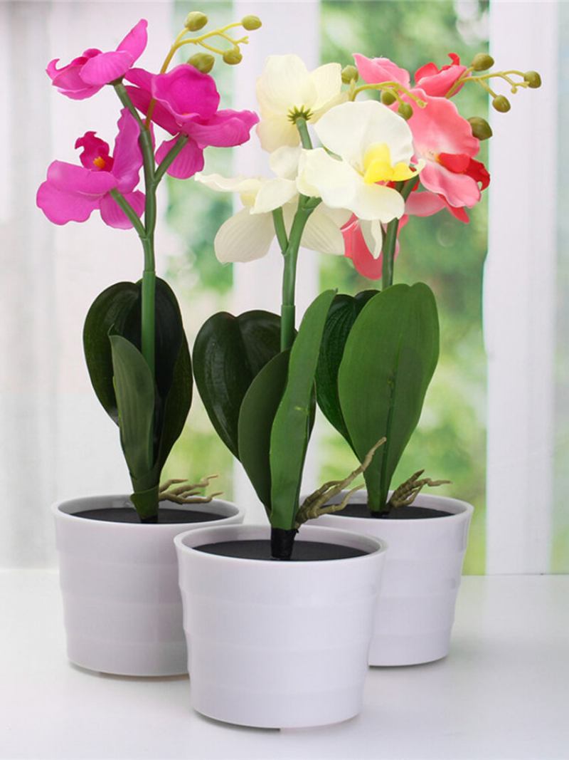 3led Solar Powered Phalaenopsis Flower Stake Κήπος Αυλή Φως Τοπίο Διακόσμηση Εξωτερικού Χώρου