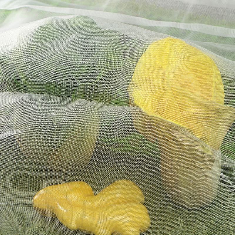 4.2mx1m Insect Netting Garden Crop Veg Protection