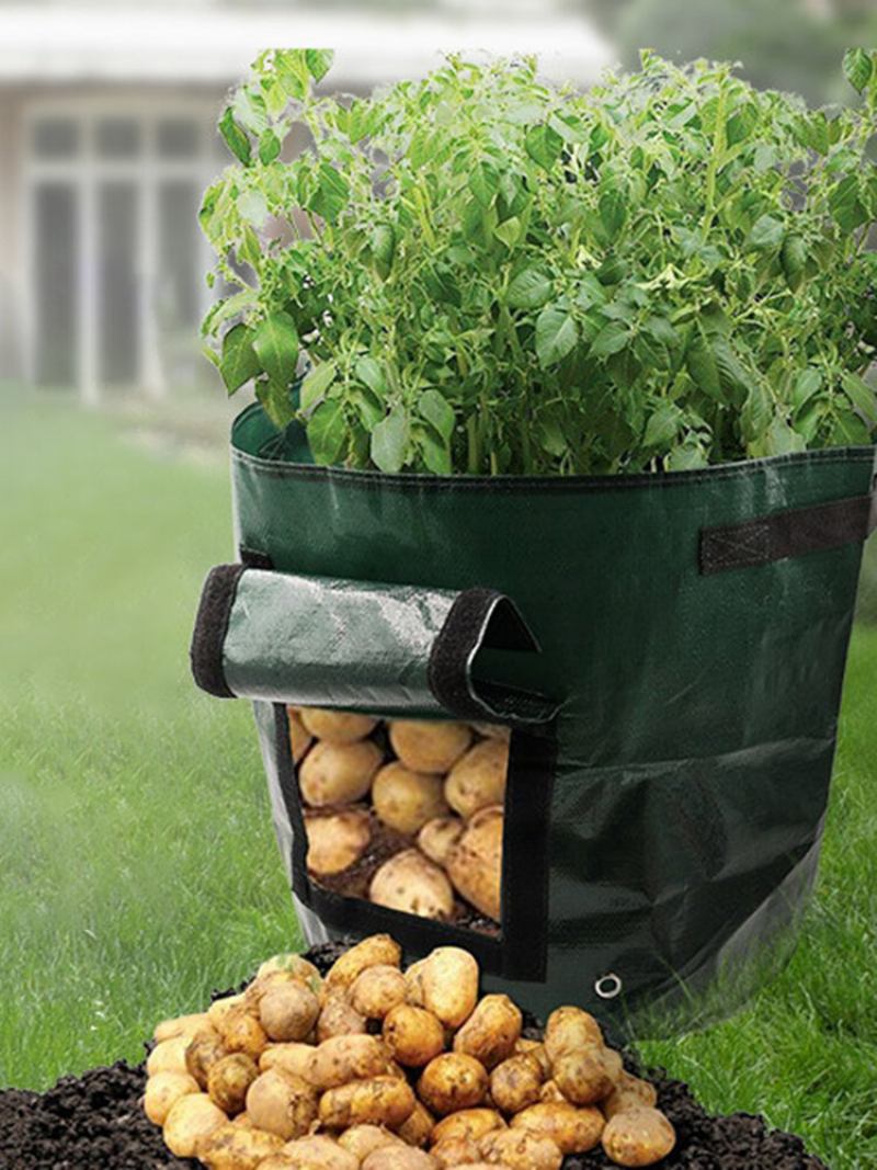 50l Μεγάλης Χωρητικότητας Potato Grow Planter Pe Container Bag Pouch Tomato Vegatables Garden Outdoor