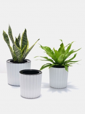 Αυτόματη Απορρόφηση Νερού Creative Succulent Plant Υδροπονική Γλάστρα Στρογγυλή Πλαστική