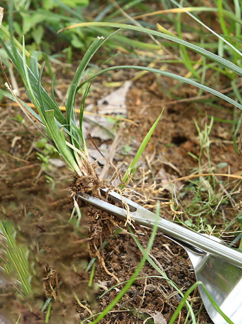 Εργαλείο Χειρός Από Ανοξείδωτο Χάλυβα Garden Outdoor Removal Farmland Puller Vegetables Εγχειρίδιο Remove Lawn Multifunction Weeder Transplant