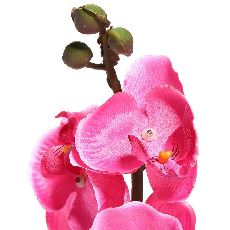 Ηλιακή Ισχύς Phalaenopsis Πάσσαλος Κήπου Τοπίο Φωτιστικό Πεταλούδα Ορχιδέα Εξωτερικής Αυλής