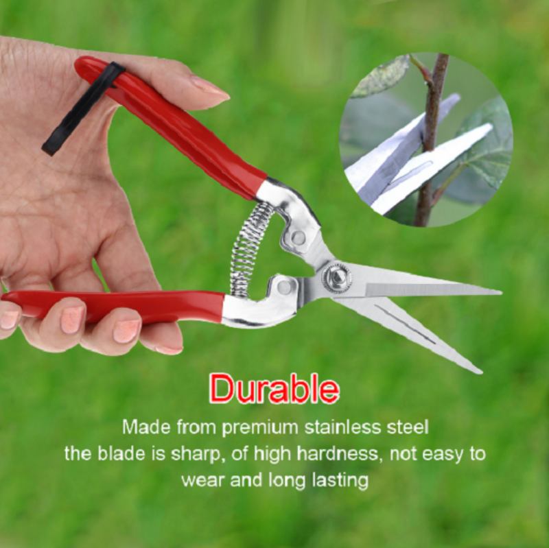 Loskii Lg-gs3 Garden Pruning Scissors Plant Cutter Flower Fruit Grape