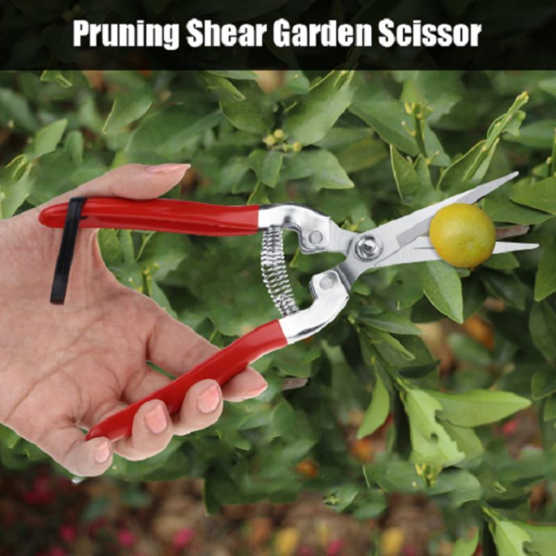 Loskii Lg-gs3 Garden Pruning Scissors Plant Cutter Flower Fruit Grape