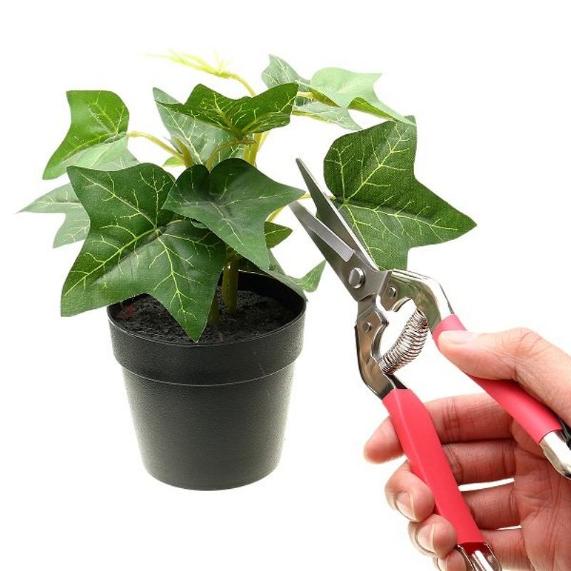 Loskii Lg-gs3 Garden Pruning Scissors Plant Cutter Flower Fruit Grape