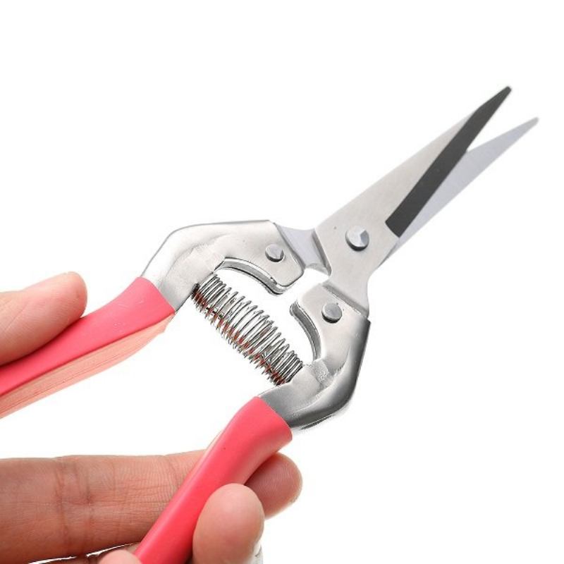 Loskii Lg-gs3 Garden Pruning Scissors Plant Cutter Flower Fruit Grape