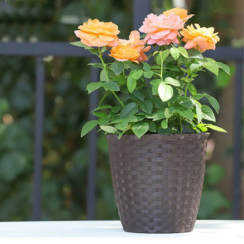 Rattan Resin Plants Γλάστρα Διακόσμηση Κηπουρικής Μικρή