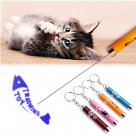 Φορητό Creative Funny Pet Cat Toys Led Laser Pointer Light Στυλό