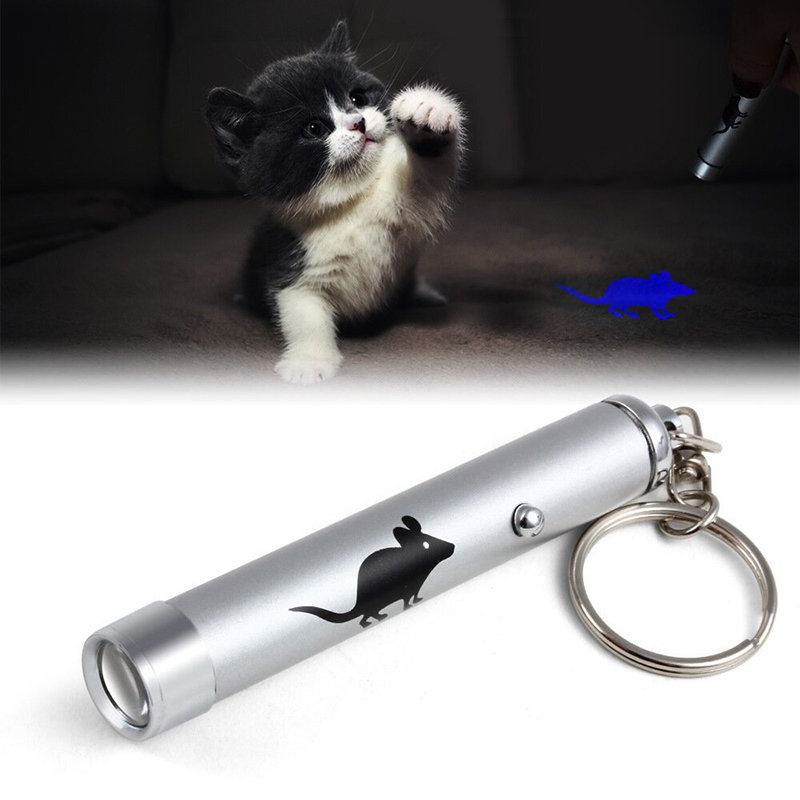 Φορητό Creative Funny Pet Cat Toys Led Laser Pointer Light Στυλό