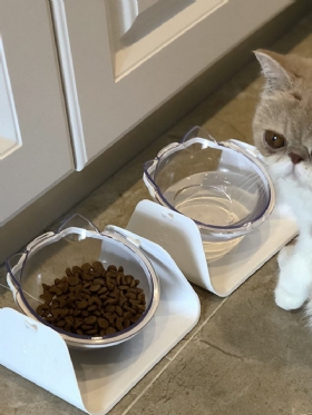 Προστασία Μπολ Γάτας Αυχενική Σπονδυλική Στήλη Λοξό Στόμα Μονό Για Τροφές Για Γάτες Για Κλίση Για Κατοικίδια