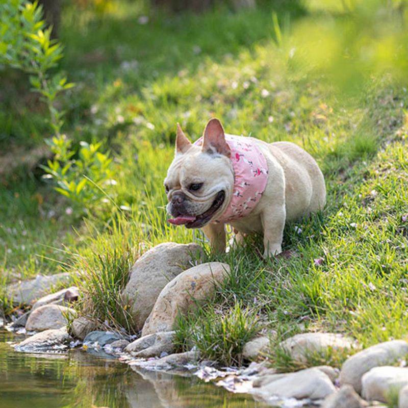 2 Χρώματα Pet Dog Ice Scarf Summer Ice Collar Ice Bandana