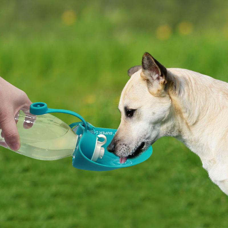 650ml Sport Φορητό Φύλλο Pet Dog Μπουκάλι Νερού Επεκτάσιμο Σιλικόνης Χωρίς Bpa Για Σκύλους Ταξιδιού