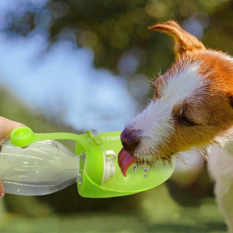 650ml Sport Φορητό Φύλλο Pet Dog Μπουκάλι Νερού Επεκτάσιμο Σιλικόνης Χωρίς Bpa Για Σκύλους Ταξιδιού