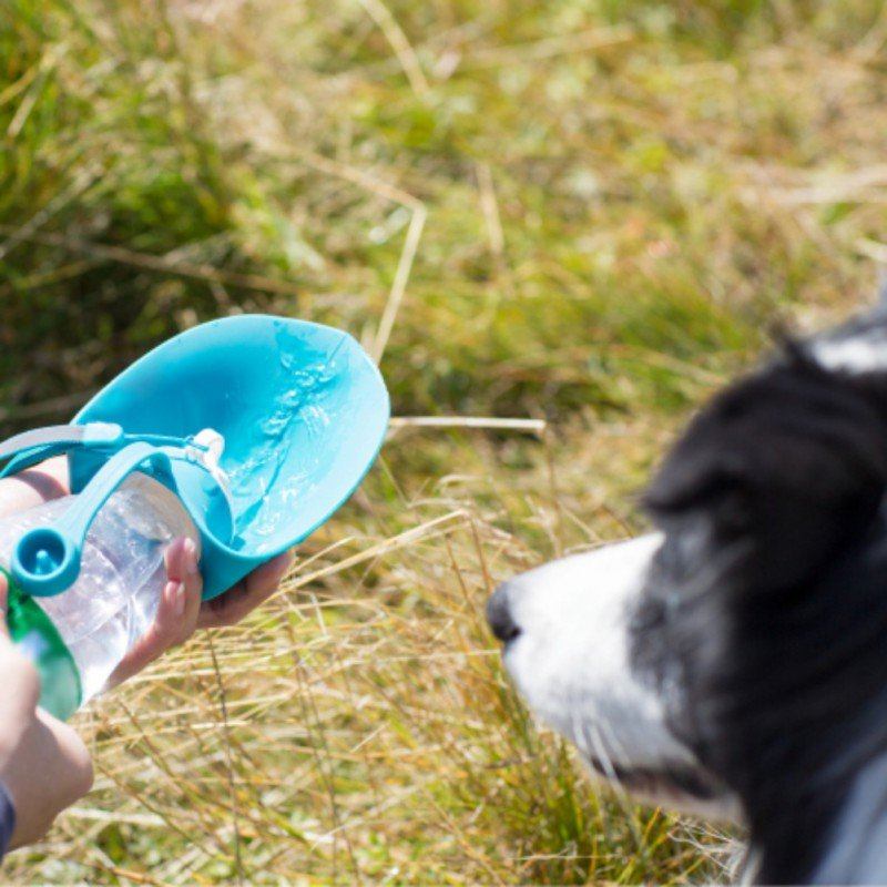 650ml Sport Φορητό Φύλλο Pet Dog Μπουκάλι Νερού Επεκτάσιμο Σιλικόνης Χωρίς Bpa Για Σκύλους Ταξιδιού