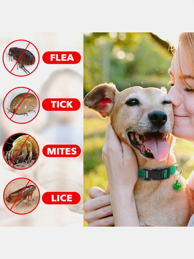 Cat Anti Flea Ring Dog Insect Bell Collar