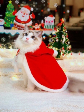 Δημιουργικά Ρούχα Για Κατοικίδια Χριστουγεννιάτικα Απόκριες Αστεία Για Γάτες Αντιανεμικός Μανδύας