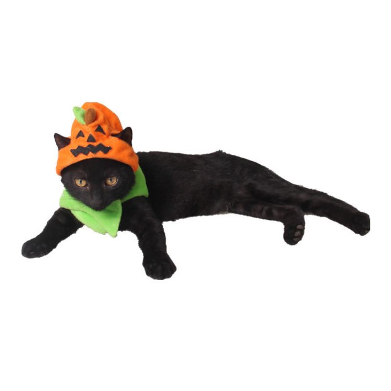 Halloween Pet Supplies Carnival Ghost Festival Καπέλο Σκύλου Cat Accessories Trick Or Treat Pumpkin Hat