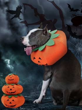 Κοστούμι Μεταμόρφωσης Για Πάρτι Κατοικίδιων Γατών Από Το Halloween Pumpkin Dog Dress Up Πολυλειτουργικό Κολάρο Σκύλου
