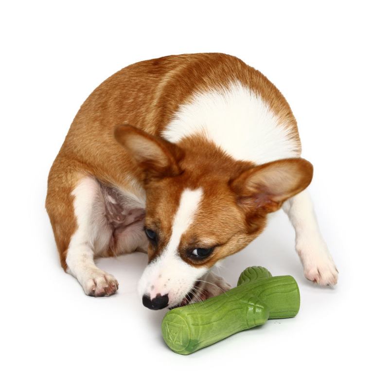 Lovely Branch Solid Molar Wearable Pet Toys Training Dog Props Enhance The Intelligence Dog