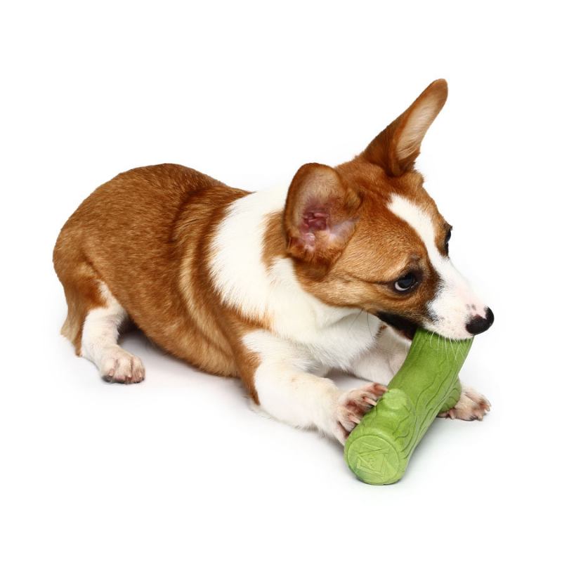 Lovely Branch Solid Molar Wearable Pet Toys Training Dog Props Enhance The Intelligence Dog