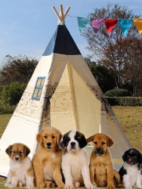 Μεγάλα Παιδικά Κατοικίδια Teepee Καμβά Tent Tipi Outdoor Beige Με Μαξιλαράκι Δαπέδου