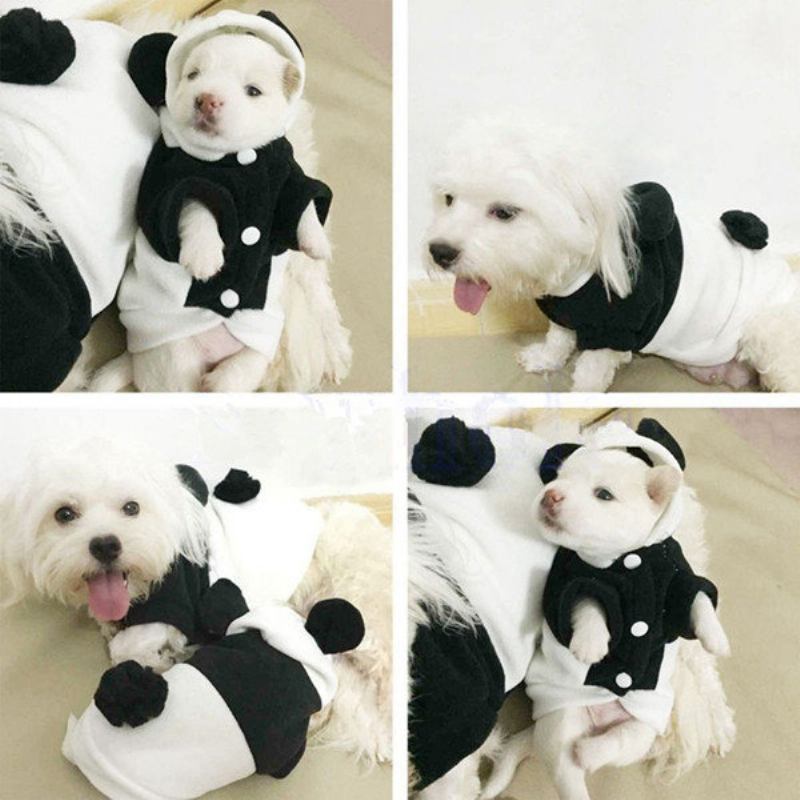 Pet Dog Cat Cute Fleece Ρούχα Panda Ζεστό Παλτό Κοστούμια Πανωφόρια Ένδυση Xs-xxl