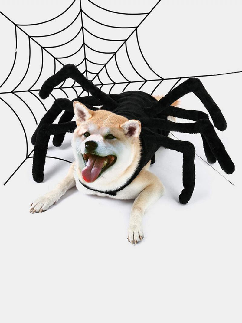 Pet Halloween Funny Spider Chest Back Creative Στολή Μεταμόρφωσης Σκύλου Μικρού