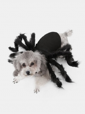 Pet Halloween Funny Spider Clothes Προσομοίωση Τρόμου Σκύλου Γάτας Λούτρινο Φόρεμα Για Πάρτι Μεταμόρφωσης Αράχνης
