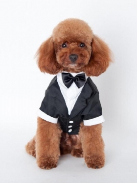 Ρούχα Για Κουτάβι Gentleman Mounted Teddy Pet Clothes Μικρή Στολή Για Σκύλο Μπλουζάκια Για Κατοικίδια