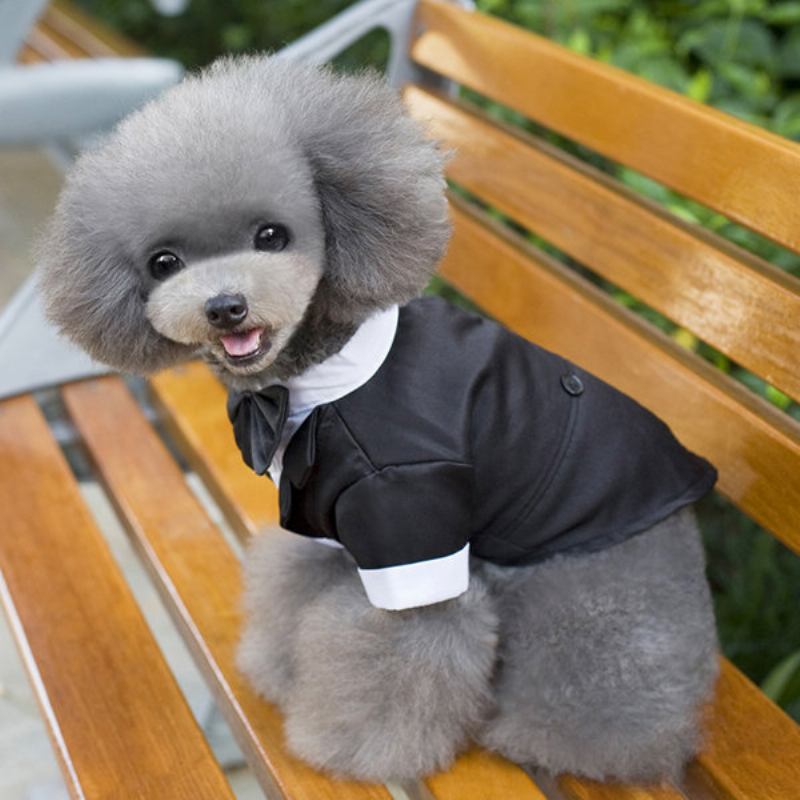 Ρούχα Για Κουτάβι Gentleman Mounted Teddy Pet Clothes Μικρή Στολή Για Σκύλο Μπλουζάκια Για Κατοικίδια