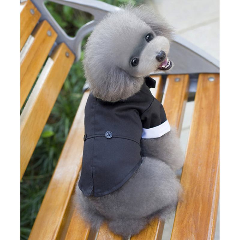 Ρούχα Για Κουτάβι Gentleman Mounted Teddy Pet Clothes Μικρή Στολή Για Σκύλο Μπλουζάκια Για Κατοικίδια