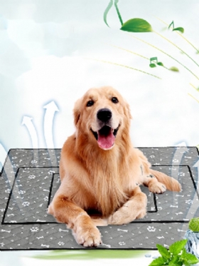 Summer Cooling Pet Mat Αντιολισθητικό Mat Dog Cat Mat Pet Mat