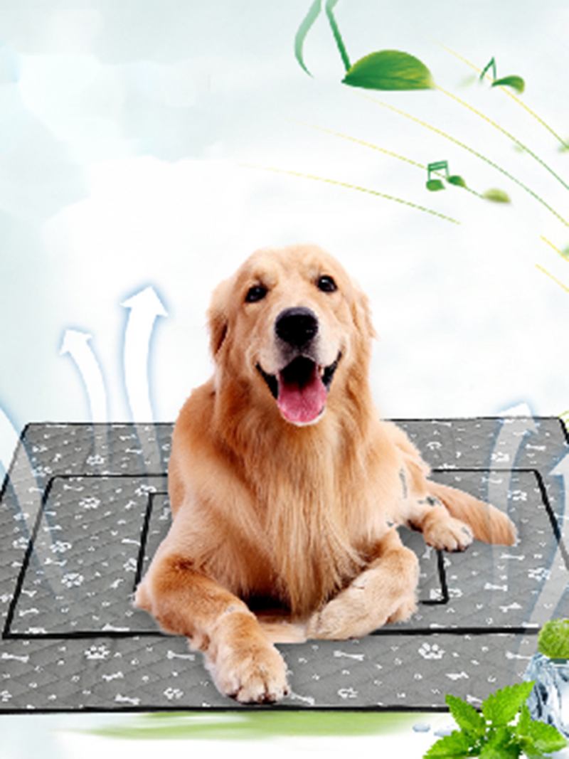 Summer Cooling Pet Mat Αντιολισθητικό Mat Dog Cat Mat Pet Mat