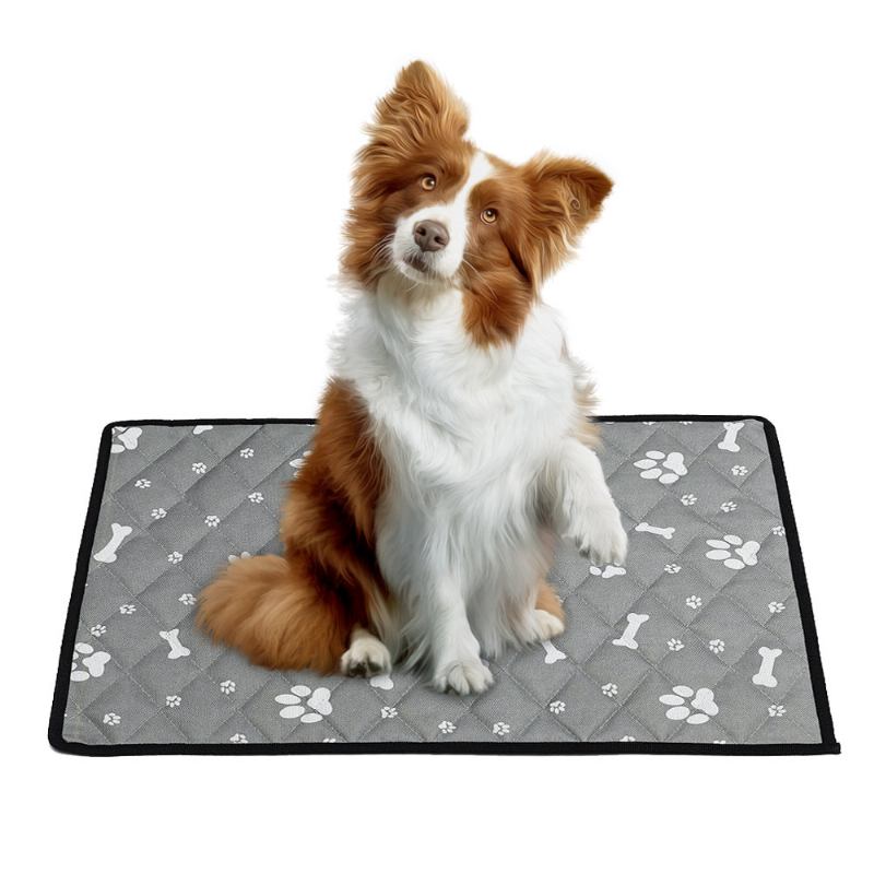 Summer Cooling Pet Mat Αντιολισθητικό Mat Dog Cat Mat Pet Mat