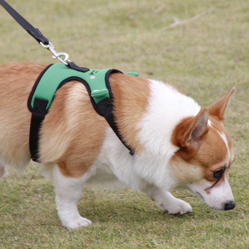 Χαριτωμένο Frog Dog Chest Strap Corgi Fight Traction Γιλέκο Για Κατοικίδια