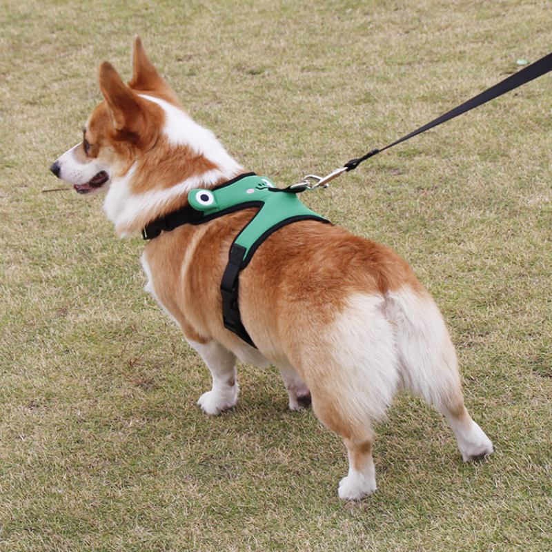 Χαριτωμένο Frog Dog Chest Strap Corgi Fight Traction Γιλέκο Για Κατοικίδια